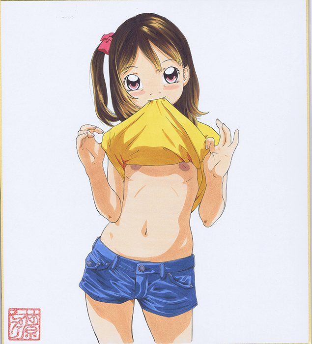 色紙図鑑1 サンプル3ページ目