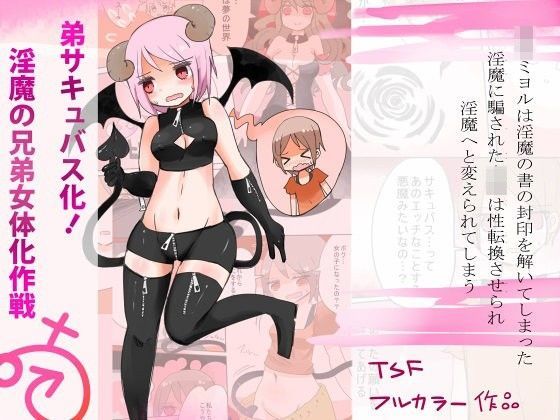 弟サキュバス化！淫魔の兄弟女体化作戦1