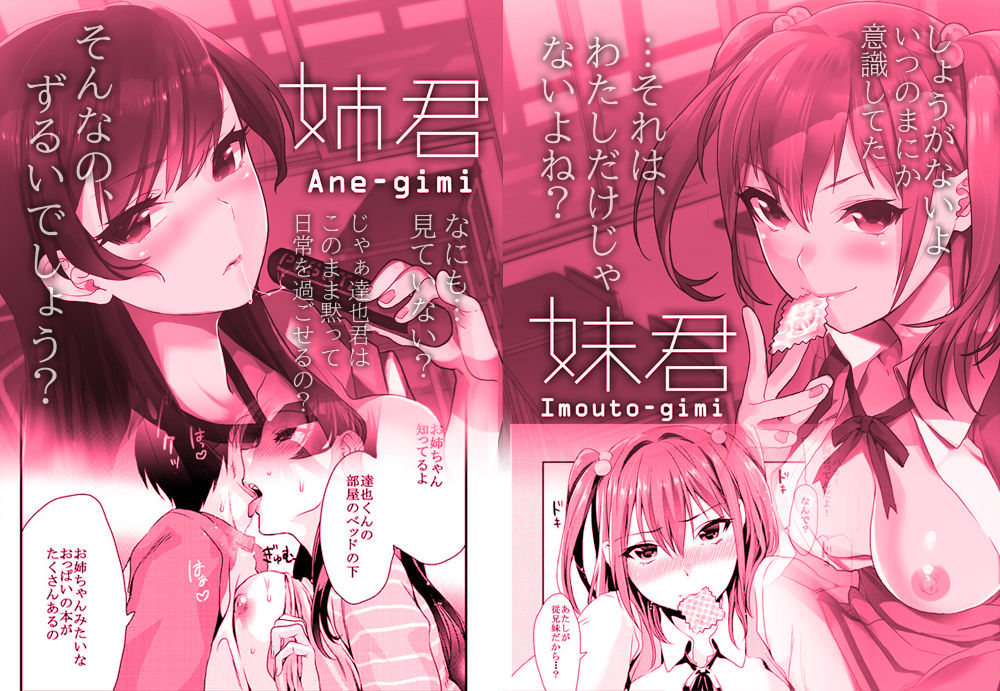 姉君妹君総集編 サンプル3ページ目