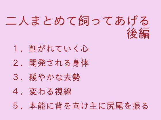 二人まとめて飼ってあげる  後編