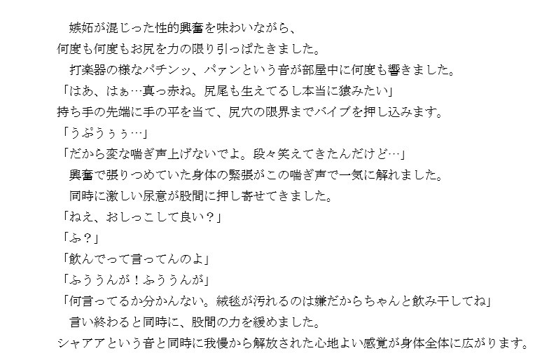 『ノンフィクション』性体験インタビューレポート vol5.浮気した旦那をM男に調教した若妻 サンプル3ページ目