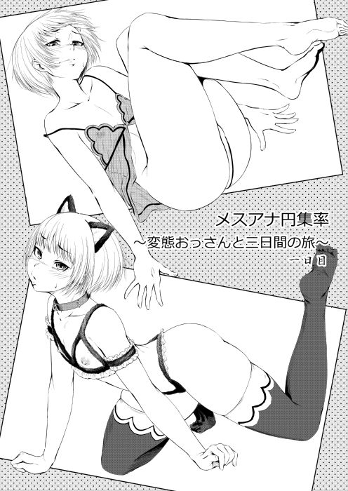 メスアナ円集率〜変態おっさんと三日間の旅〜一日目 サンプル3ページ目