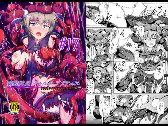駆錬輝晶 クォルタ アメテュス ＃17