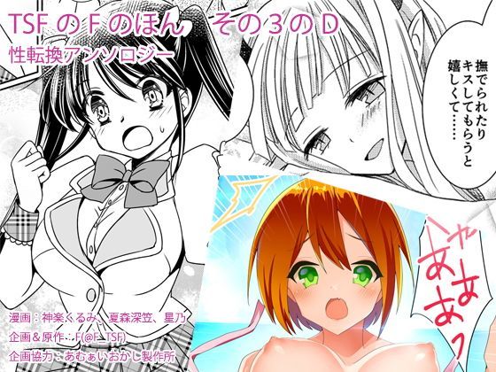 TSFのFのほん その3のD