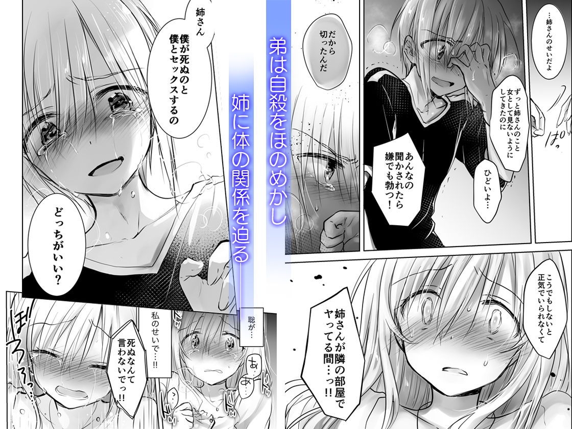 アネトリトラレ サンプル2ページ目