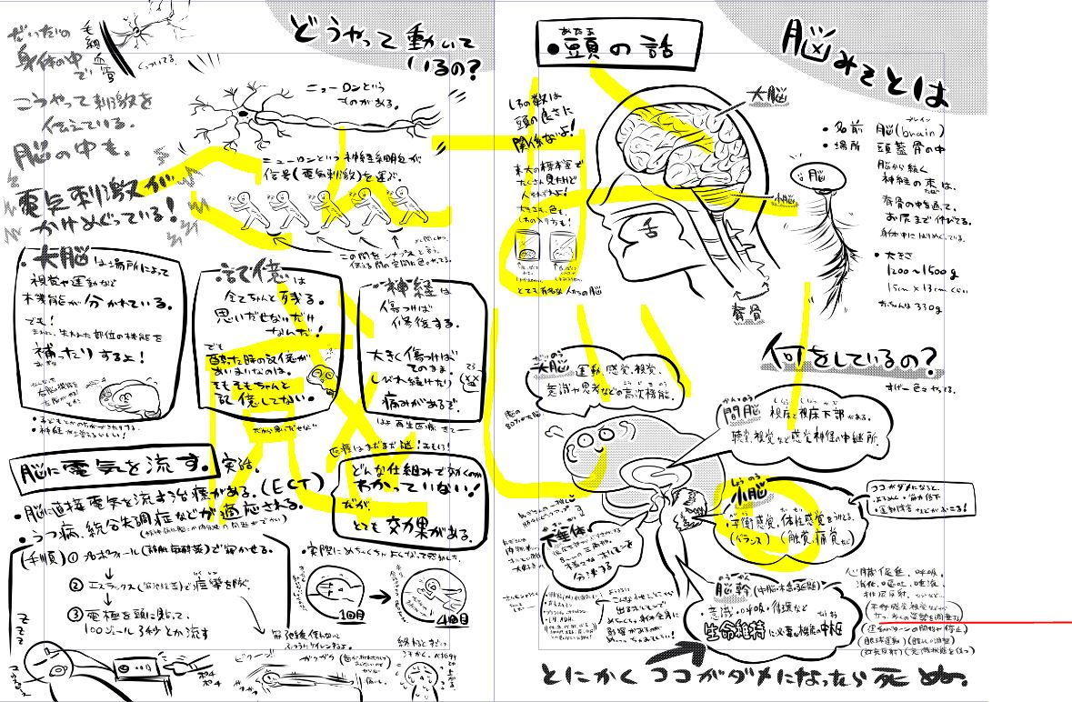 みんなのための解剖生理 サンプル4ページ目