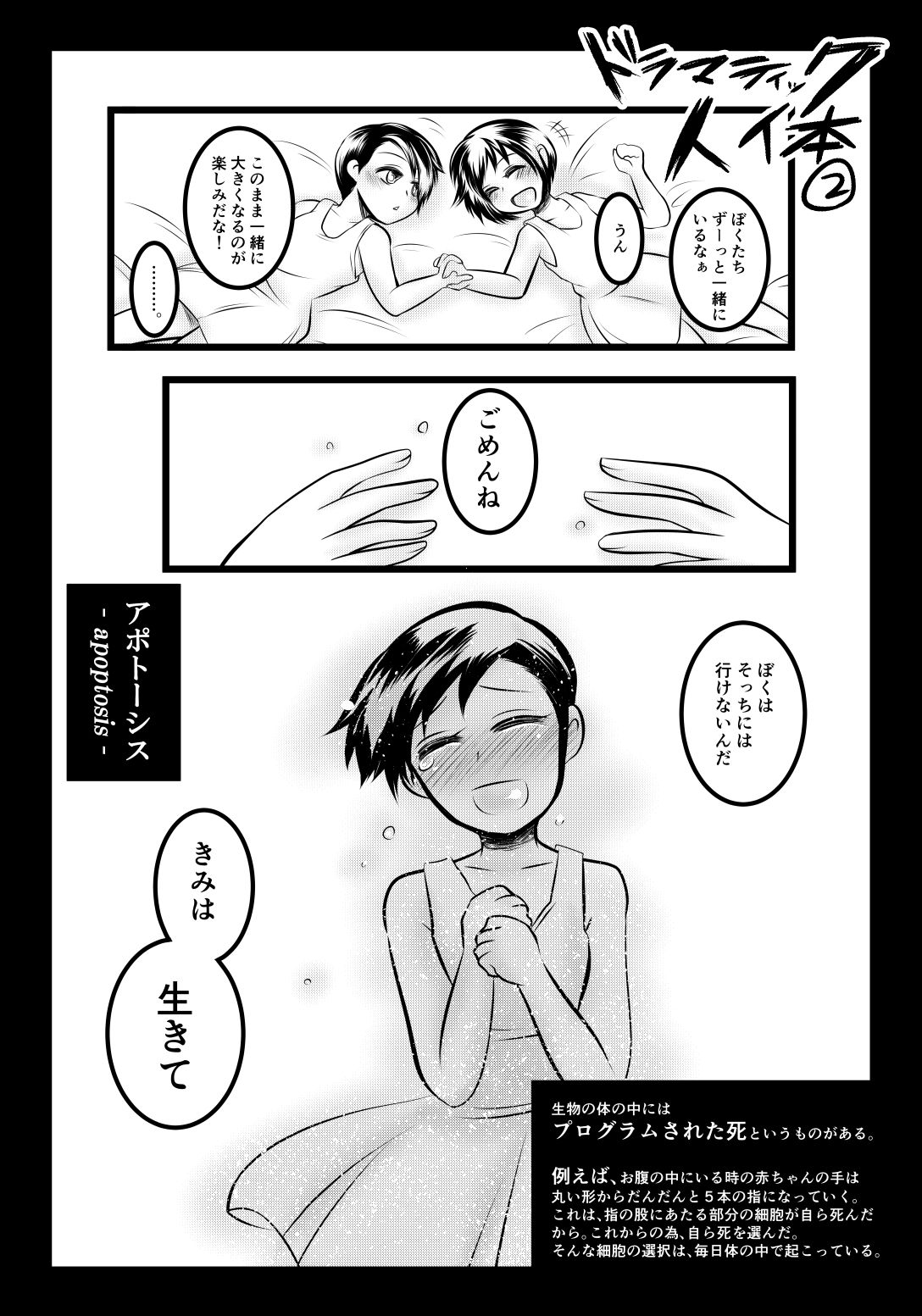 みんなのための解剖生理 サンプル5ページ目