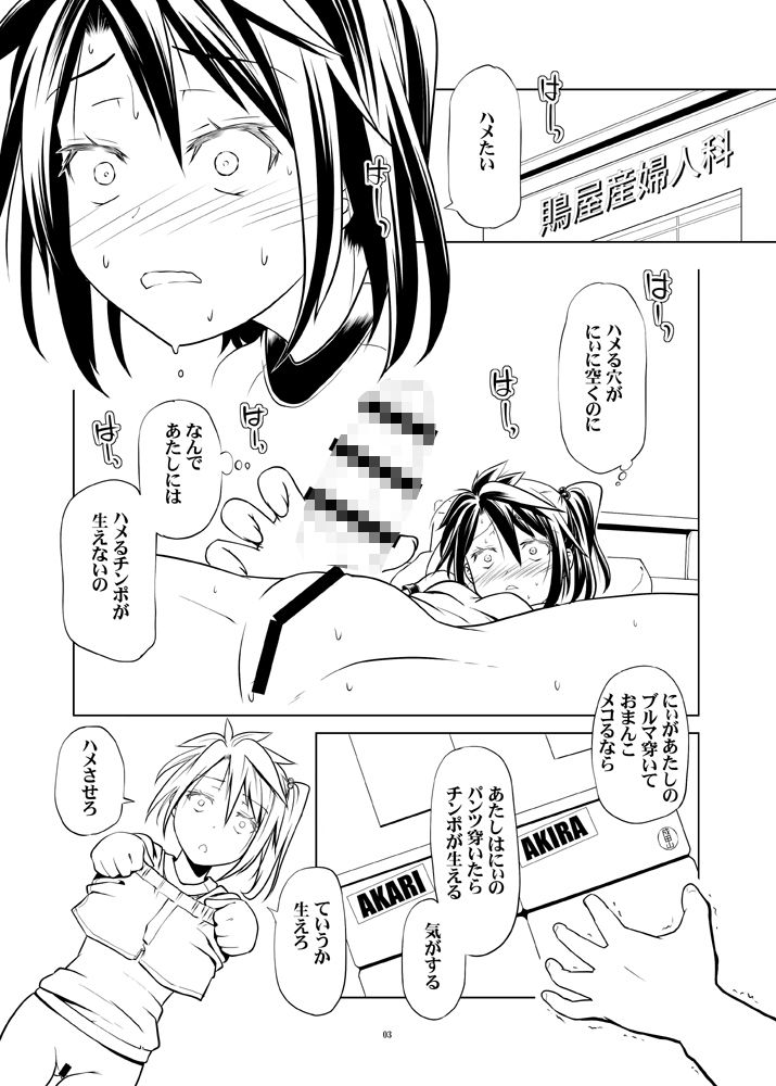 あきらちゃんとあかりちゃんは変態双子concept サンプル1ページ目