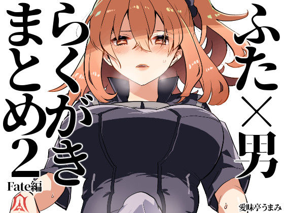 ふた×男らくがきまとめ2 Fate編