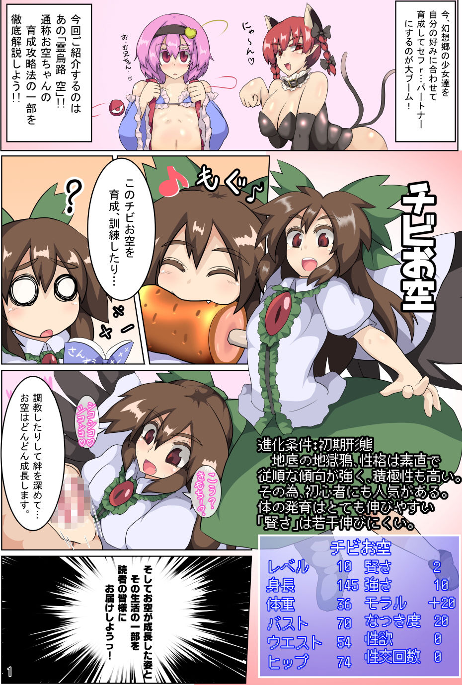 お空ちゃん攻略ガイドブック サンプル1ページ目