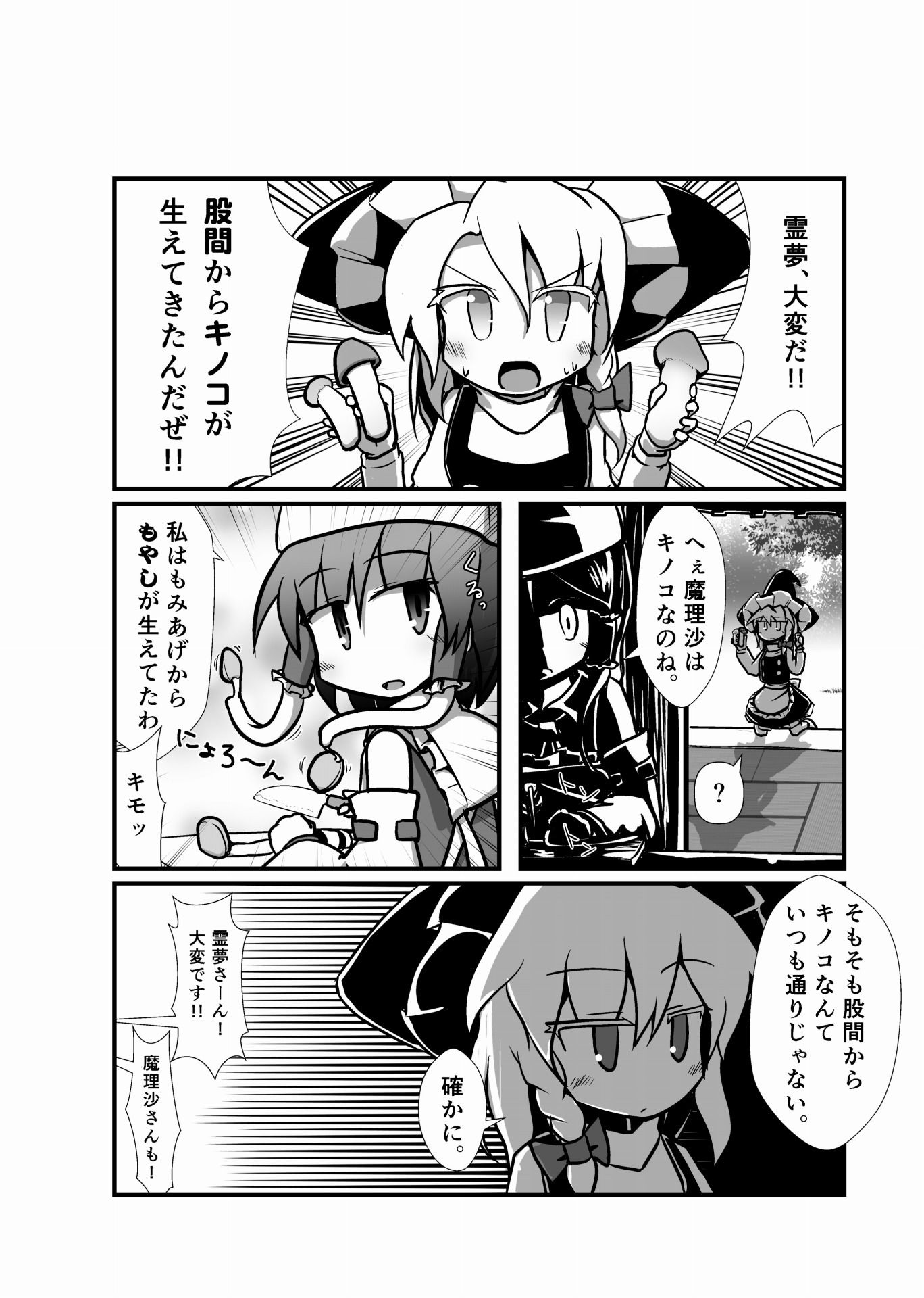 東方彼是蒐 〜 shooooot everything！！ サンプル6ページ目