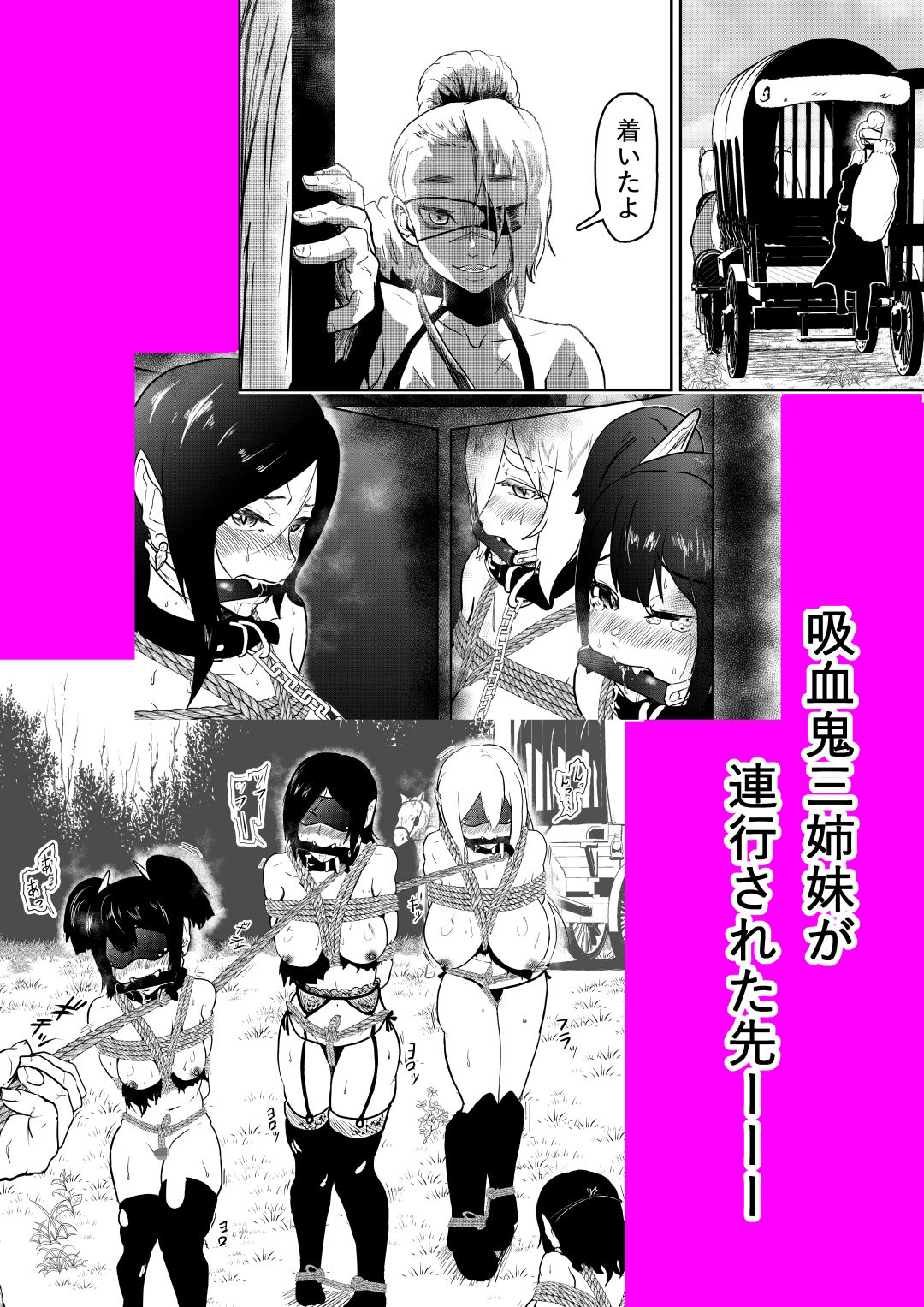 ヴァンパレイド5 〜吸血鬼 三姉妹 捕縛編〜 サンプル2ページ目