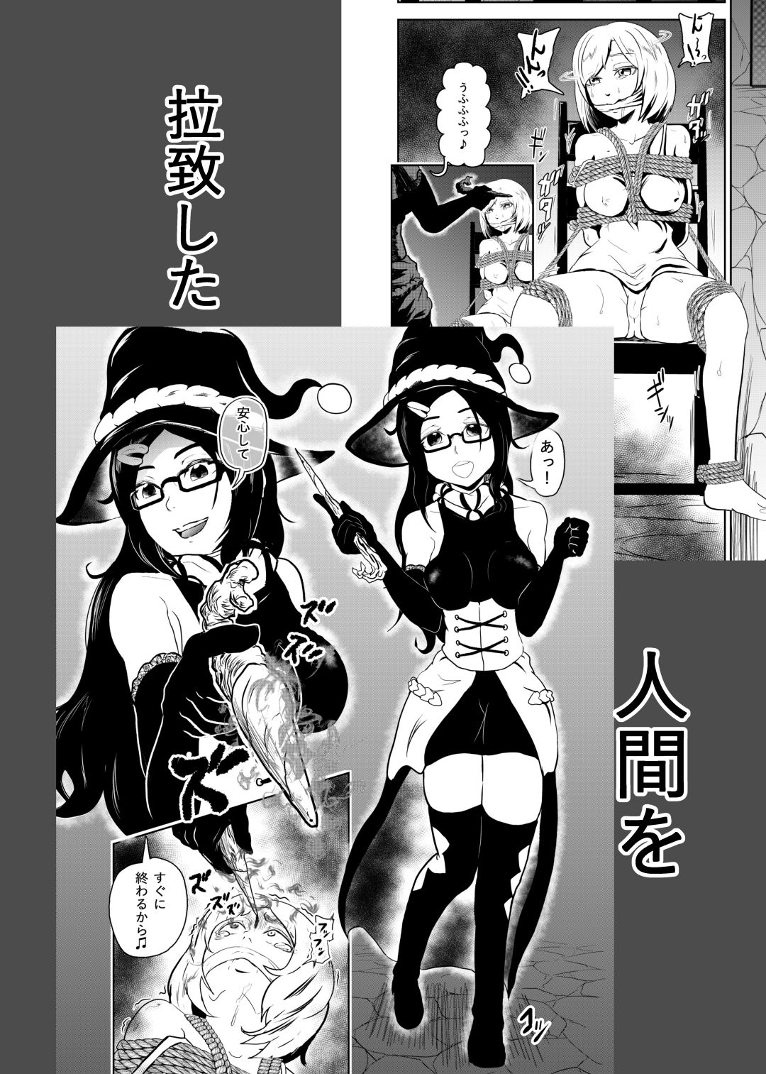 えろ拷問日誌 サンプル2ページ目