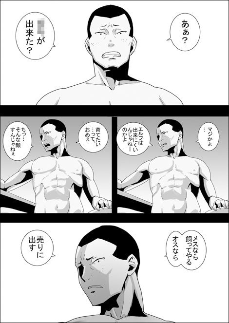 まだ題名のないファンタジー 地味なエルフと見習いの戦士10〜13 サンプル1ページ目