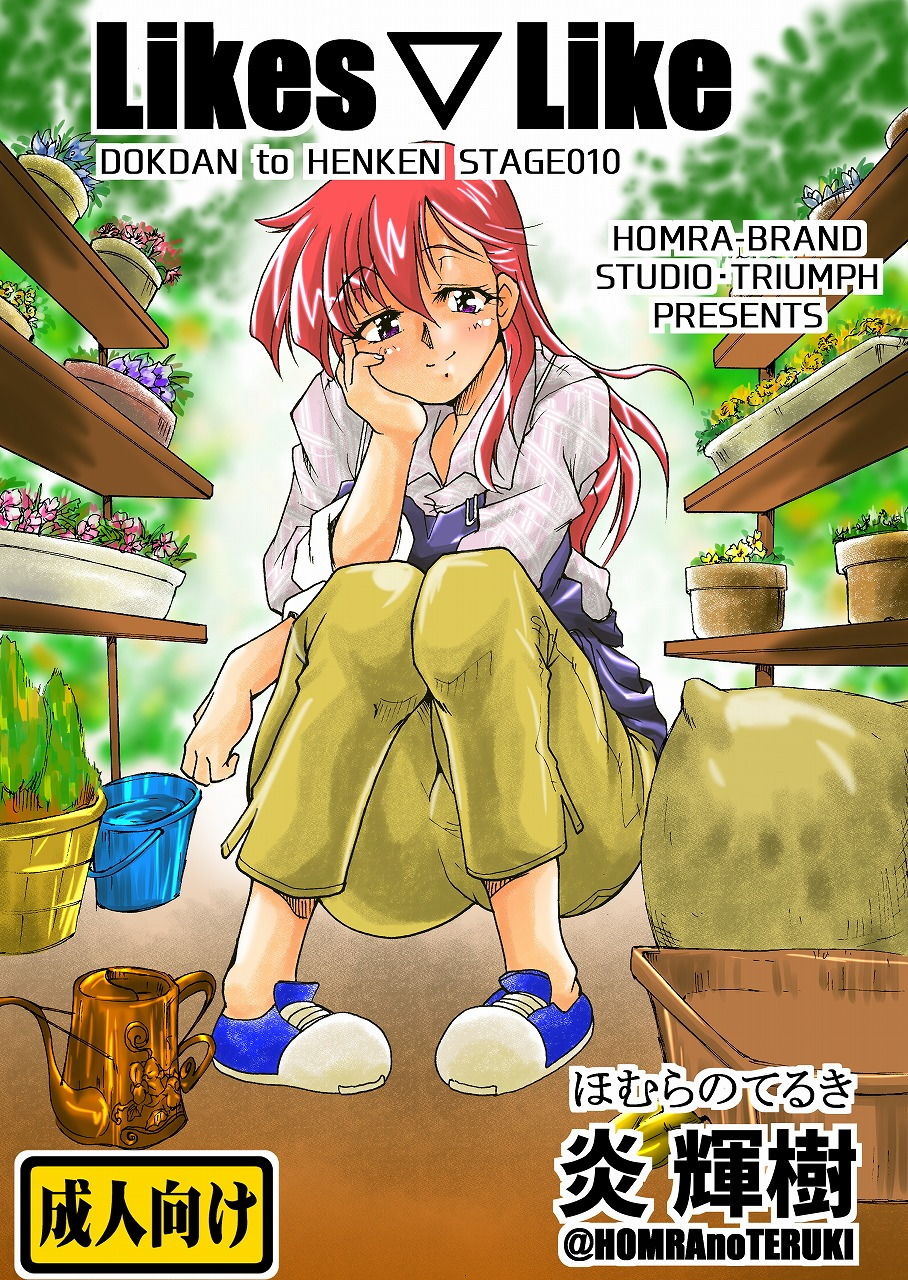 Likes▽Like（HOMRA-WORKS DH010） サンプル1ページ目