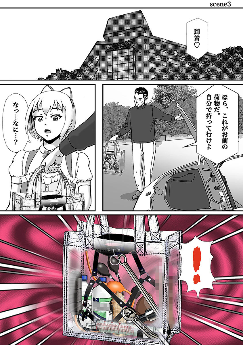 こんなふうにマゾにされていくのね。ニューハーフ娼婦露出調教旅行 サンプル8ページ目