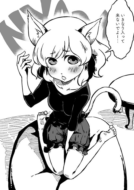 酉京都キャッツウォーク2 サンプル7ページ目