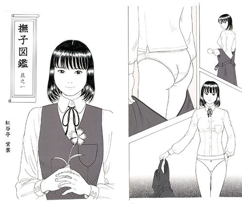 撫子図鑑 其之一