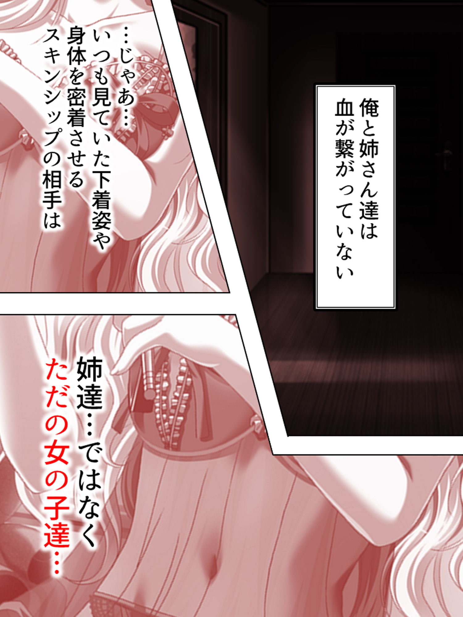 こんな風に演出すれば、姉達と合法的にセックス出来る 1巻 サンプル4ページ目