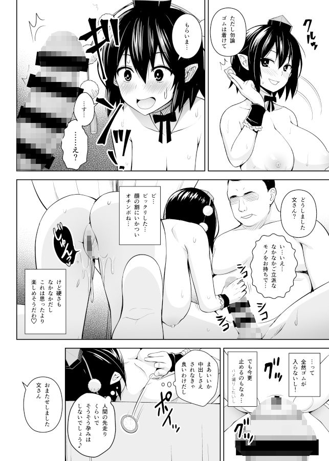 ハメ撮り文果珍宝 サンプル3ページ目