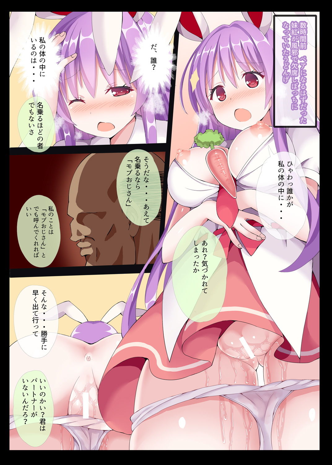 幻想郷肉祭〜東方むちむち総集編〜 サンプル1ページ目