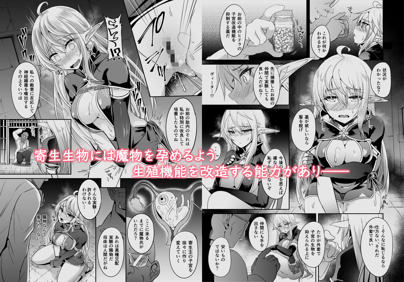 逃亡ELF5 サンプル3ページ目