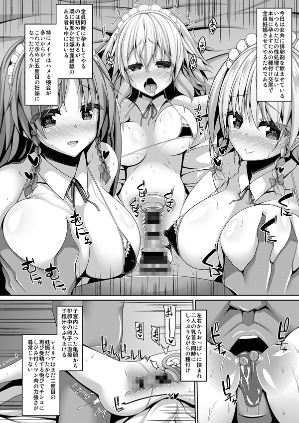 紅魔館メイドハーレム性活 サンプル5ページ目
