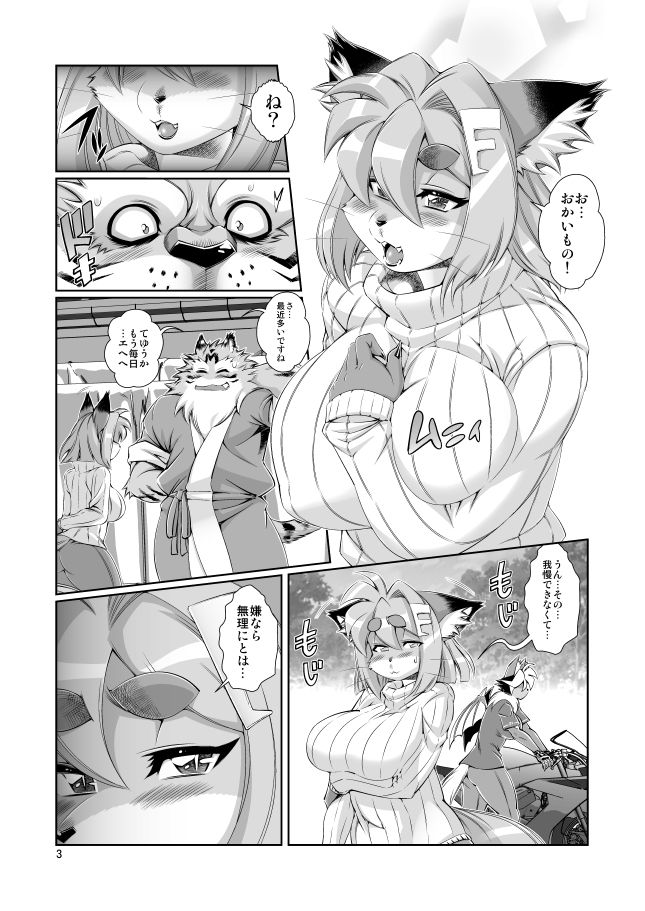 魔法の獣人フォクシィ・レナVol.12 サンプル2ページ目