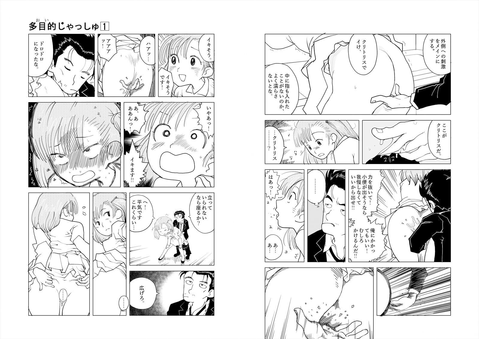 多目的トイレ サンプル5ページ目