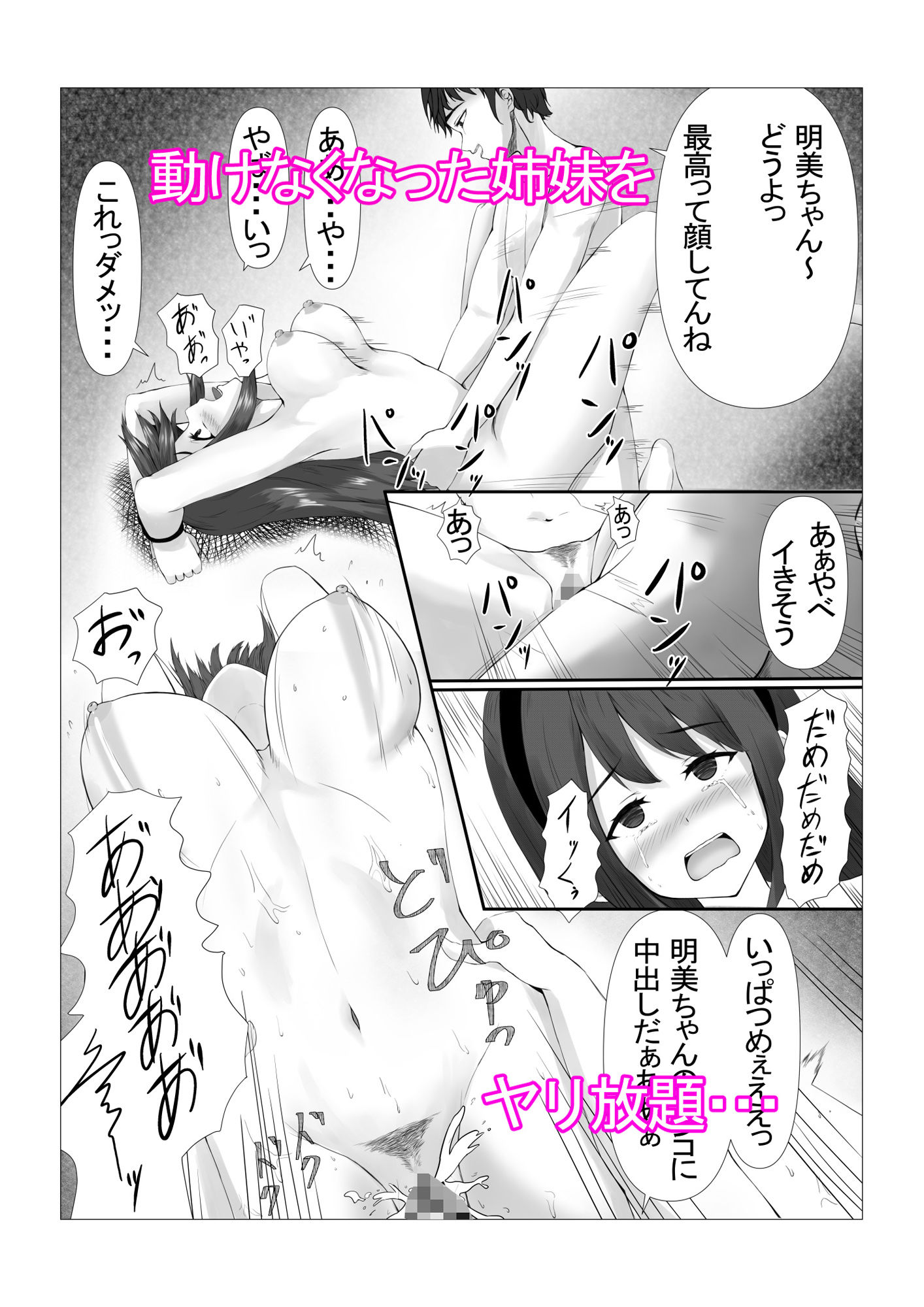 可愛い姉妹を睡眠レイ〇で寝取り計画 サンプル3ページ目