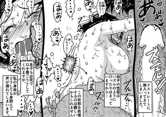 ヤリたい盛りの息子と多淫症のお母さんとの性生活の日常の話。 サンプル9ページ目