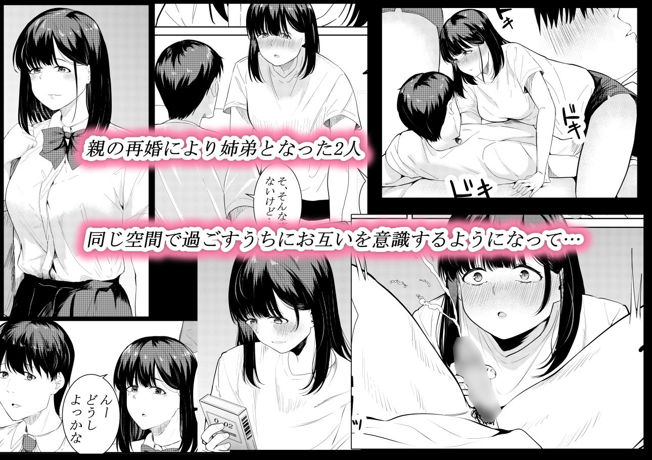 僕を好きと言ってくれた姉は他の男に抱かれる サンプル2ページ目
