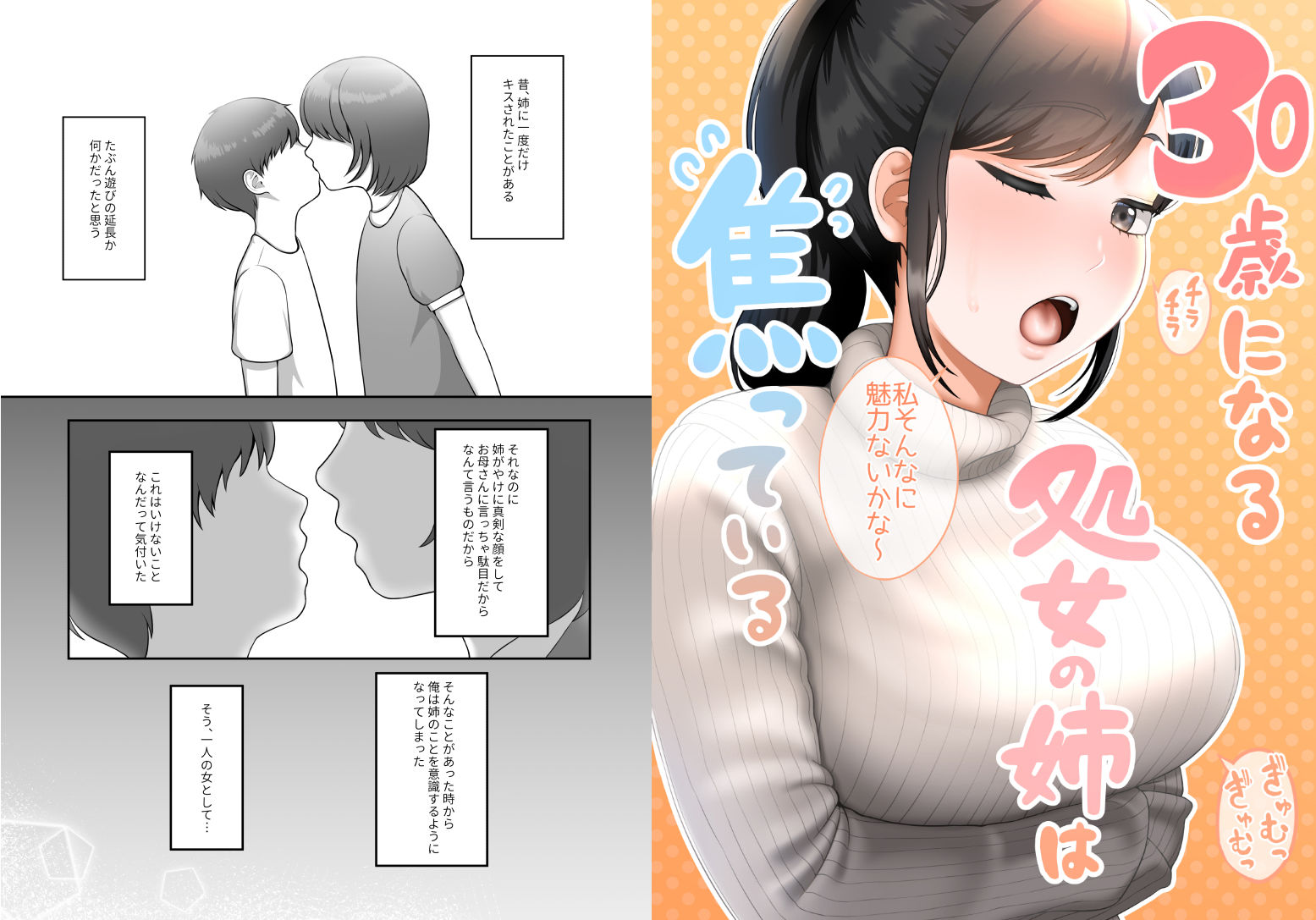 30歳になる処女の姉は焦っている サンプル1ページ目