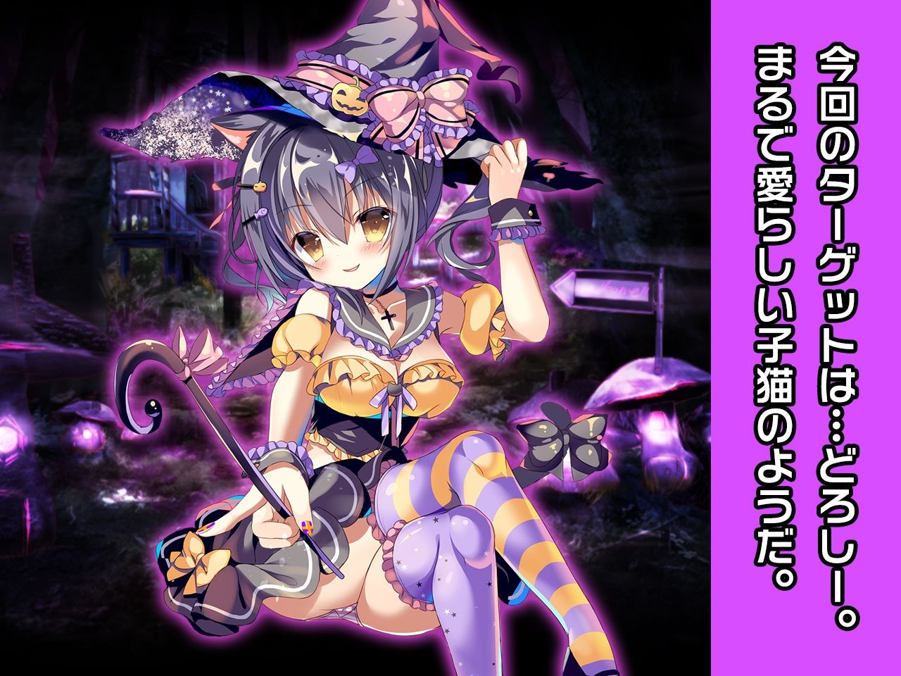完全版:キャットガール=スピカ＆魔女っ子どろしー 特別篇 〜ヒロイン絶滅計画より〜 勝気なヒロインを悪堕ちさせよ！ サンプル3ページ目