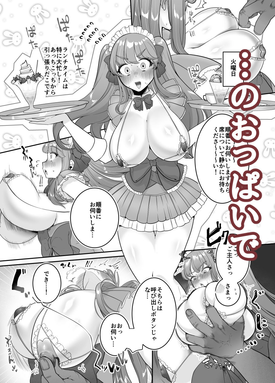 メイドカフェちちゆら チェキ1枚1500円 1まいめ サンプル2ページ目