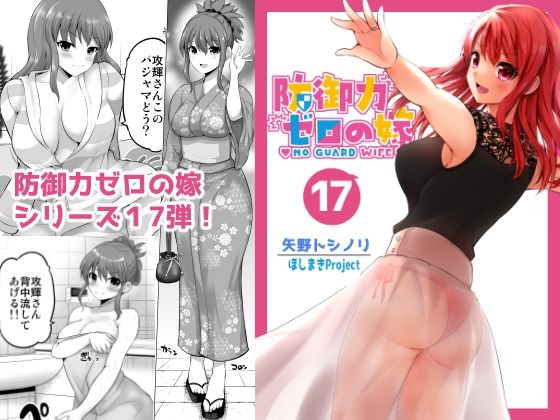 防御力ゼロの嫁17
