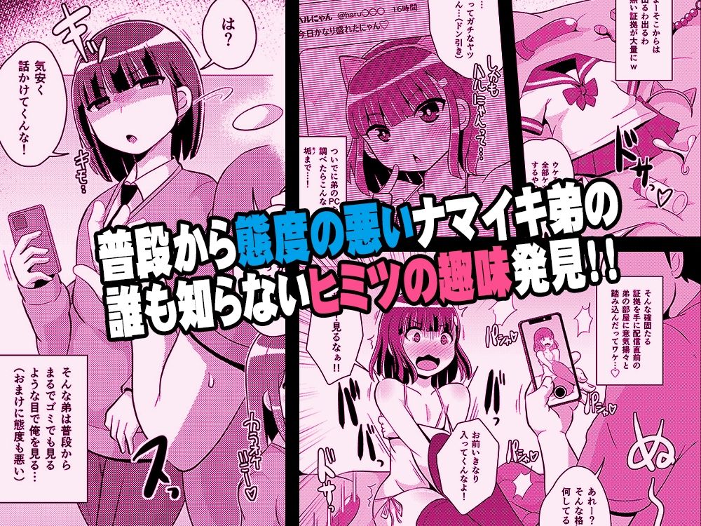 ナマイキ弟の精嚢をこねくり回してメス♂にする本 サンプル1ページ目