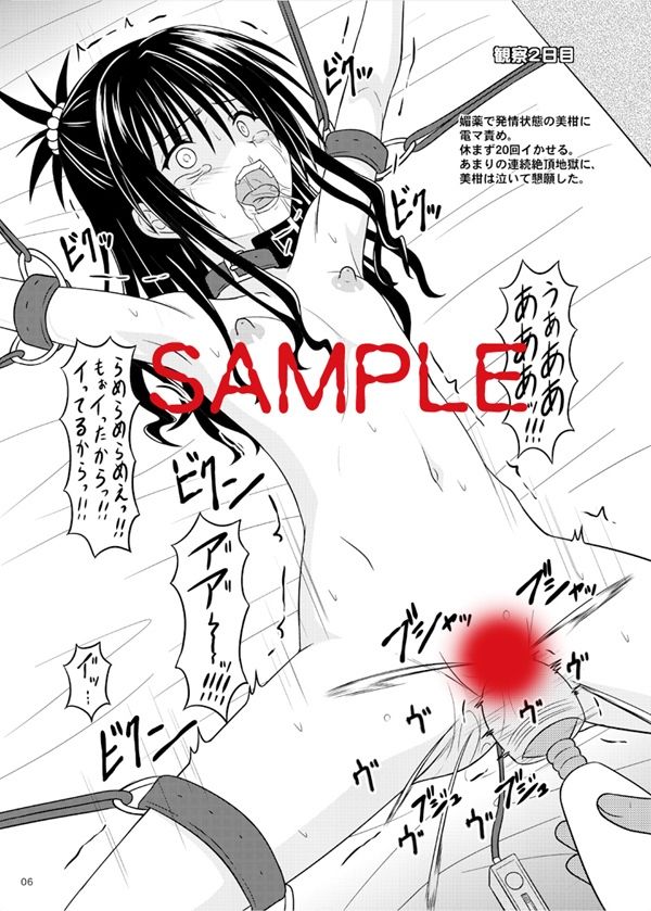 少女調教観察記録 サンプル2ページ目