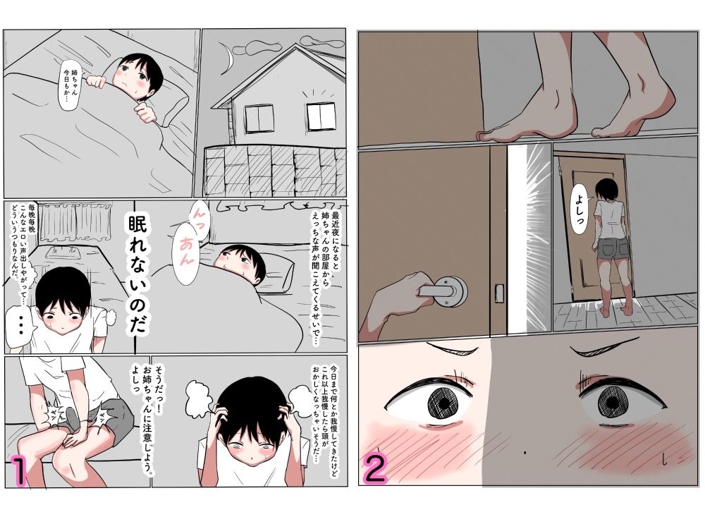お姉ちゃんと中出しセックスするおとうと サンプル2ページ目