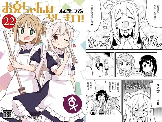 お兄ちゃんはおしまい！22