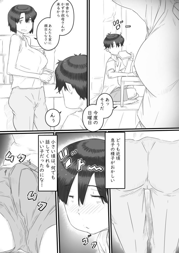一人暮らしの息子の部屋で…‐母と息子の秘密の関係‐ サンプル3ページ目