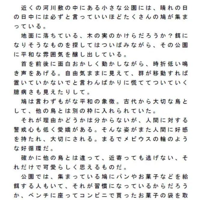 河川敷の鳩に給餌 ほのぼのとした日常の1コマ サンプル1ページ目
