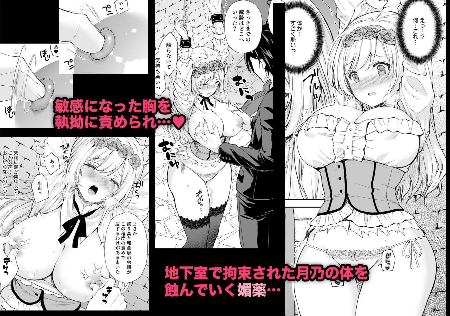 隷嬢の小夜曲 第一楽章 サンプル2ページ目
