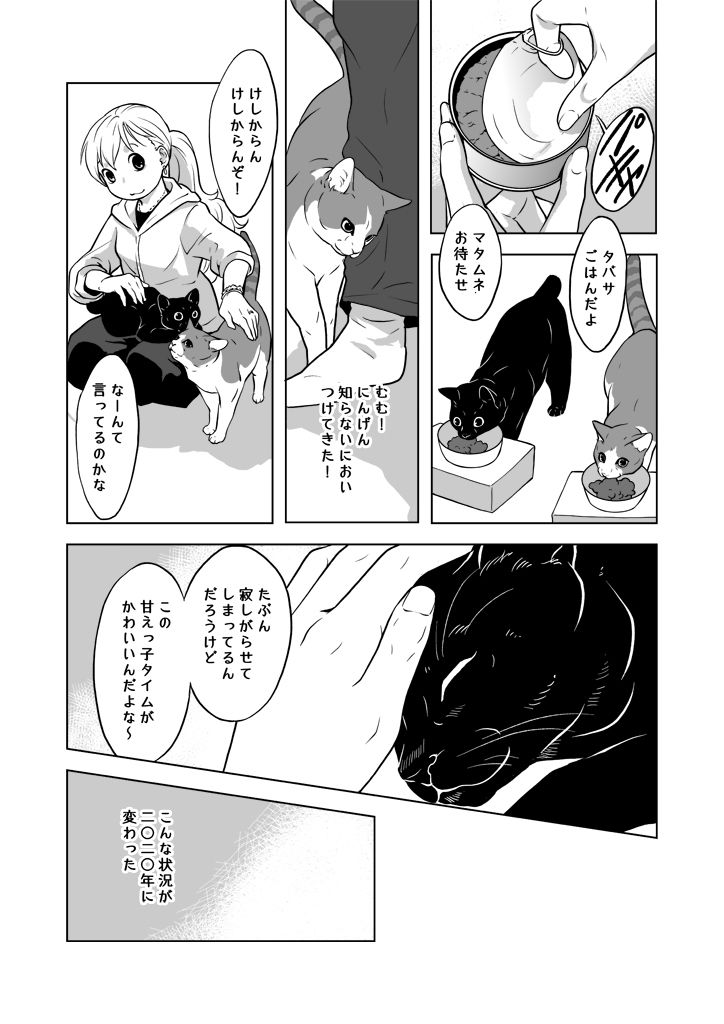 おうちねこじかん サンプル7ページ目
