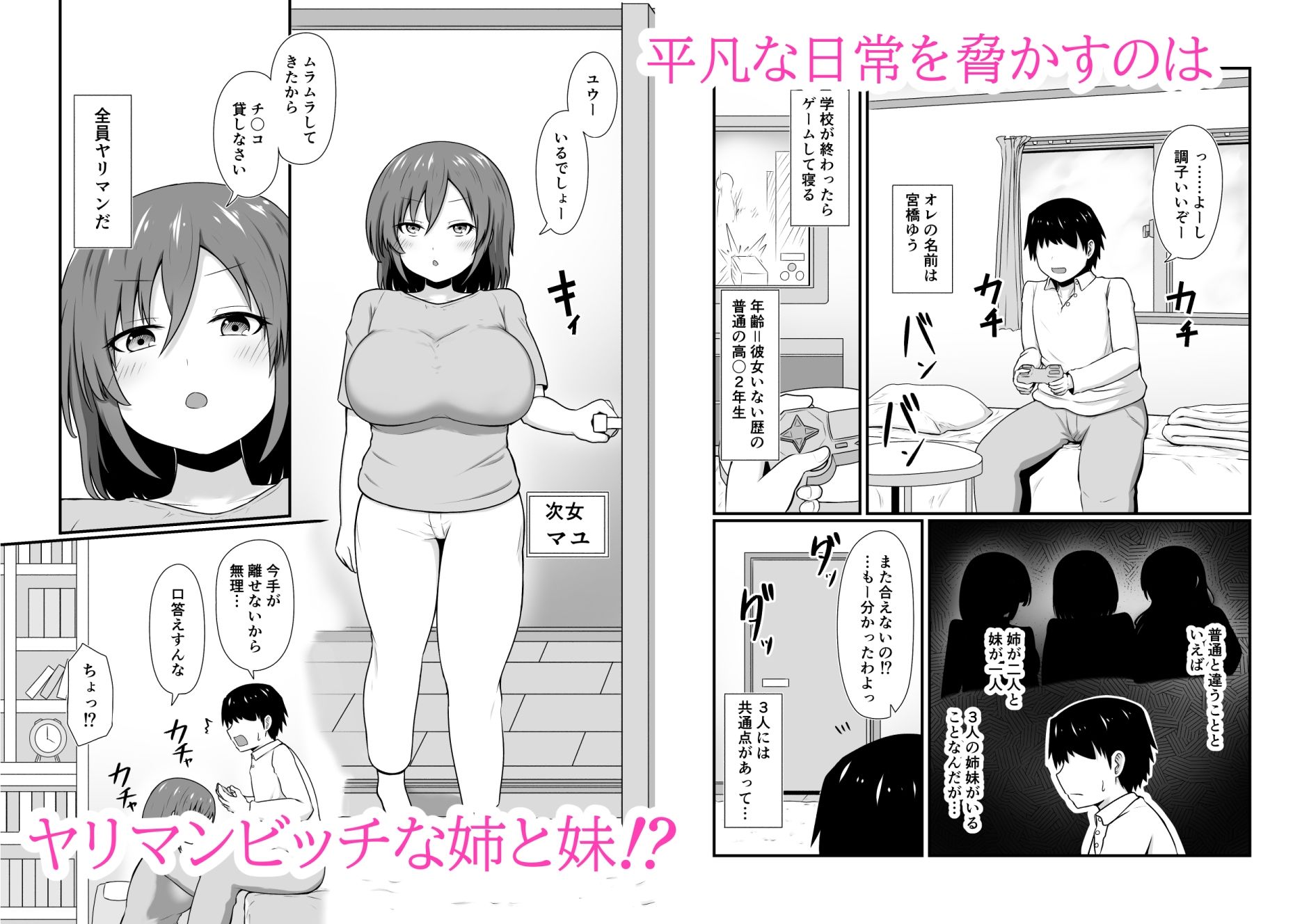 ヤリマン三姉妹と絶倫チ〇ポ弟の即ハメ日常生活 サンプル2ページ目