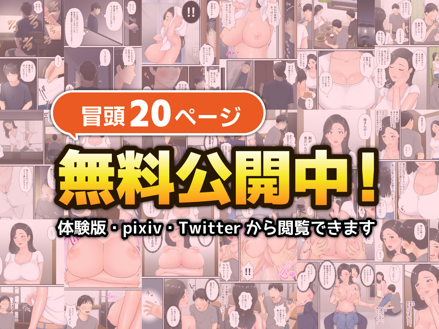 まともな母親が息子のチンポに堕ちるまで サンプル10ページ目