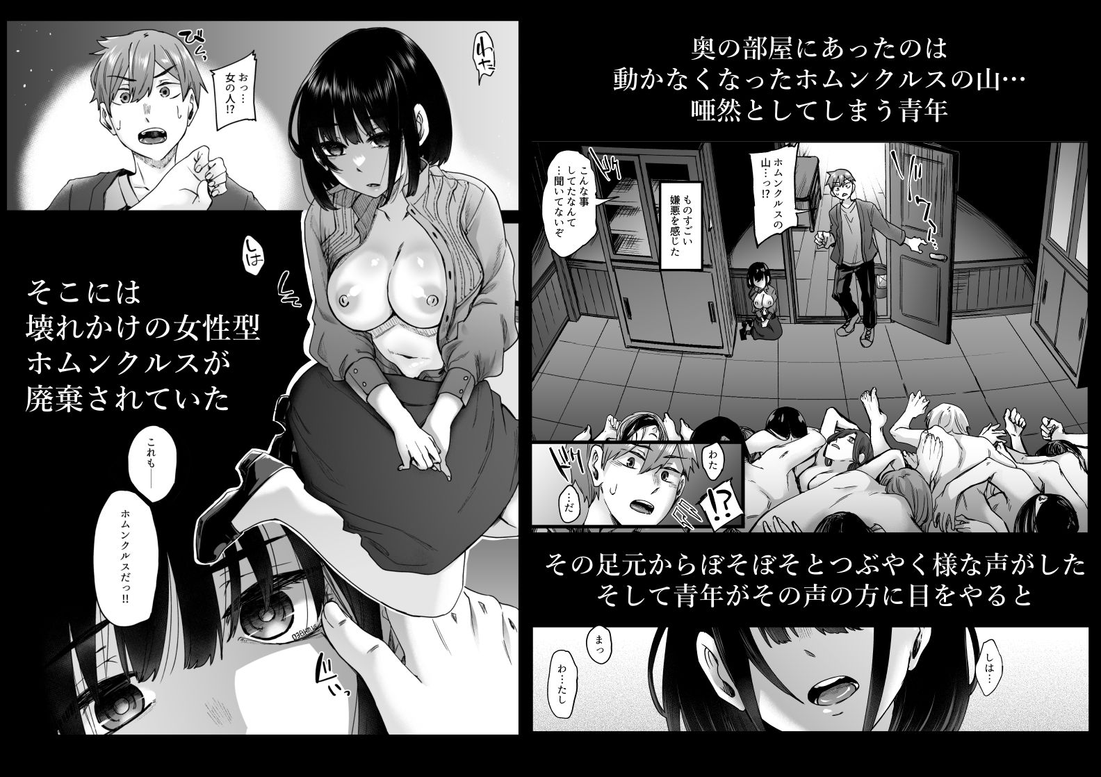 人造性メイ体 -ホムンクルス- Vol.1 サンプル2ページ目