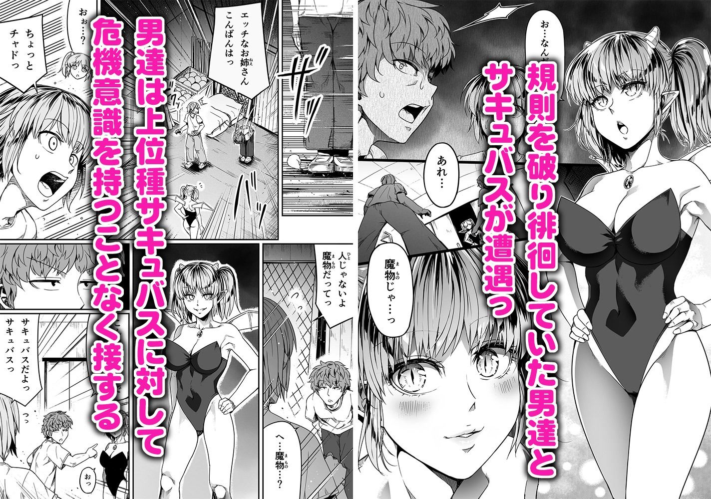 力あるサキュバスは性欲を満たしたいだけ 10 サンプル1ページ目
