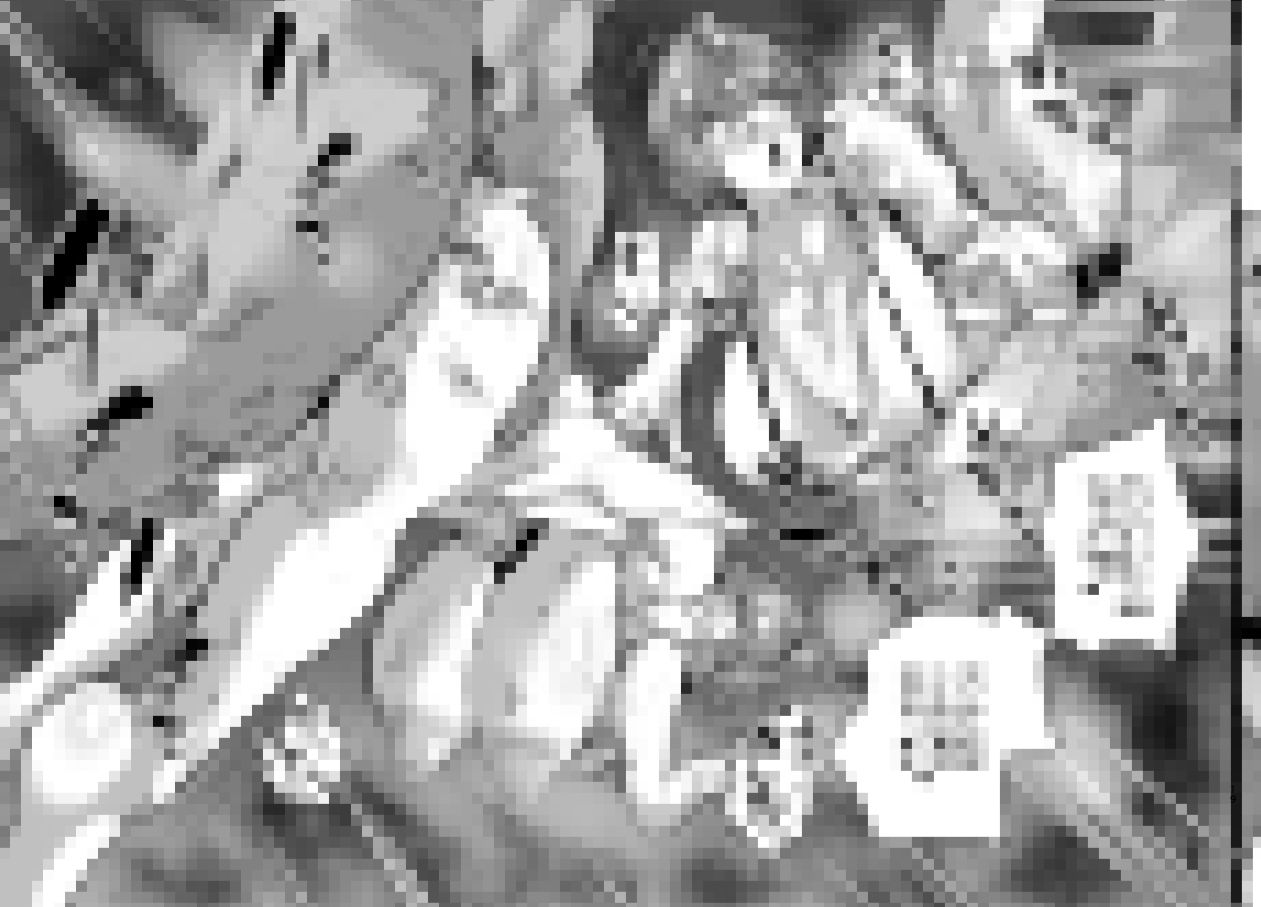 SEXしてなさそうな人ほどエグいSEXしてる説 Vol.4 サンプル10ページ目