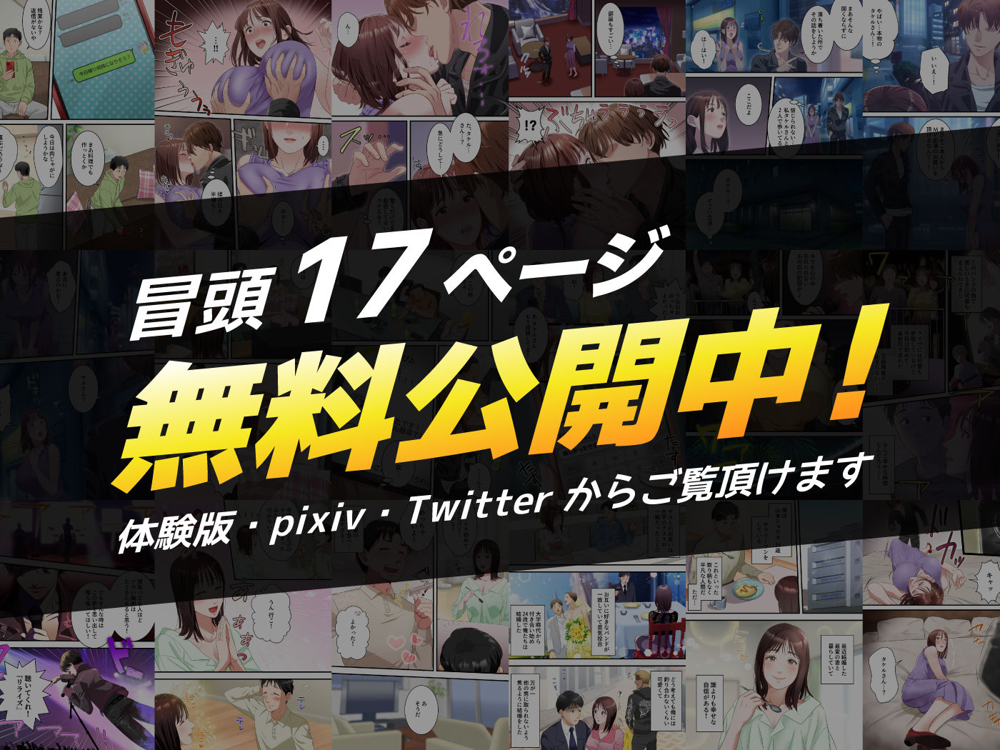 僕の最愛の妻がミュージシャンにDMナンパされてあっさり寝取られた話 サンプル10ページ目